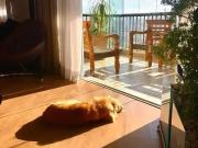 Apartamento para Venda em São Paulo/SP Mooca 3 Quartos