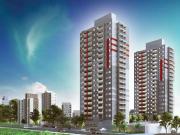 Apartamento para Venda em São Paulo/SP Morumbi 2 Quartos