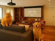 Apartamento para Venda em São Paulo/SP Paraíso do...