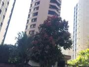 Apartamento para Venda em São Paulo/SP Morumbi 3 Quartos
