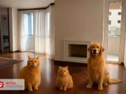 Apartamento para Venda em São Paulo/SP Morumbi 4 Quartos