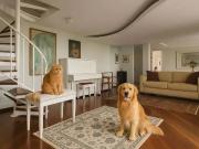 Apartamento para Venda em São Paulo/SP Morumbi 5 Quartos