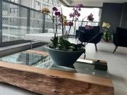 Apartamento para Venda em São Paulo/SP Panamby 4 Quartos