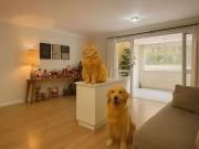 Apartamento para Venda em São Paulo/SP Panamby 4 Quartos