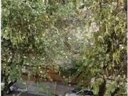 Apartamento para Venda em São Paulo/SP Paraíso 1 Quartos