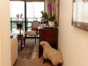 Apartamento para Venda em São Paulo/SP Paraíso 2 Quartos