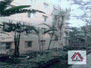 Apartamento para Venda em São Paulo/SP Parque das Árvores