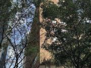 Apartamento para Venda em São Paulo/SP Pinheiros 1 Quartos