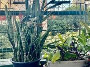 Apartamento para Venda em São Paulo/SP República 1 Quartos