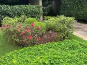 Apartamento para Venda em São Paulo/SP Santa Cecília 3...