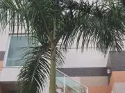 Apartamento para Venda em São Paulo/SP Santana 1 Quartos