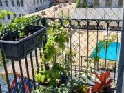 Apartamento para Venda em São Paulo/SP Saúde 2 Quartos