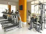 Apartamento para Venda em São Paulo/SP Sumaré 1 Quartos