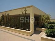 Apartamento para Venda em São Paulo/SP Tucuruvi 3 Quartos