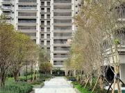 Apartamento para Venda em São Paulo/SP Tucuruvi 3 Quartos