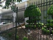 Apartamento para Venda em São Paulo/SP Tucuruvi 3 Quartos