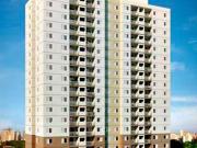 Apartamento para Venda em São Paulo/SP Vila Amália 2 Quartos