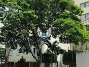 Apartamento para Venda em São Paulo/SP Vila Amélia 2 Quartos