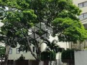 Apartamento para Venda em São Paulo/SP Vila Amélia 2 Quartos