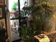 Apartamento para Venda em São Paulo/SP Vila Brasílio...