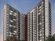 Apartamento para Venda em São Paulo/SP Vila Maria Baixa...