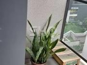 Apartamento para Venda em São Paulo/SP Vila Mariana 1...