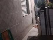 Apartamento para Venda em São Paulo/SP Vila Missionária...