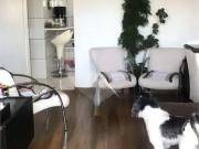 Apartamento para Venda em São Paulo/SP Vila Prudente 2...