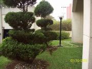 Apartamento para Venda em São Paulo/SP Vila Santo...