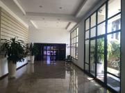 Apartamento para Venda em São Paulo/SP Vila Sônia 4 Quartos