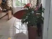 Apartamento para Venda em São Vicente/SP Catiapoa 2 Quartos