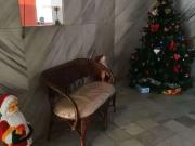 Apartamento para Venda em São Vicente/SP Centro 1 Quartos