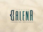 Apartamento para Venda em Salvador/BA Armação 1 Quartos