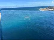 Apartamento para Venda em Salvador/BA Costa Azul 1 Quartos