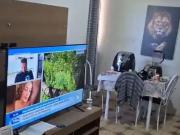 Apartamento para Venda em Salvador/BA Mata Escura 2 Quartos