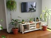 Apartamento para Venda em Salvador/BA Pituba 1 Quartos