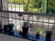 Apartamento para Venda em Salvador/BA Pituba 1 Quartos