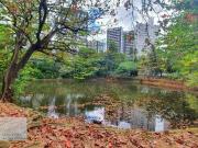 Apartamento para Venda em Salvador/BA Pituba 3 Quartos