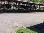 Apartamento para Venda em Salvador/BA Stiep 4 Quartos