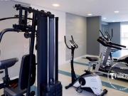 Apartamento para Venda em Santo André, Campestre, 3...