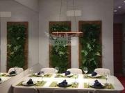 Apartamento para Venda em Santo André/SP Campestre 2 Quartos