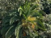 Apartamento para Venda em Santo André/SP Vila Eldízia 3...