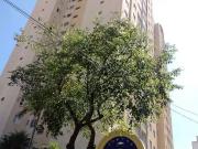 Apartamento para Venda em Santo André/SP Vila Pires 3...