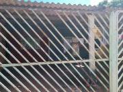 Apartamento para Venda em Santo Antônio do Descoberto/GO...