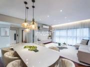 Apartamento para Venda em Santos/SP Aparecida 3 Quartos