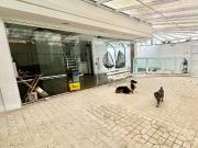 Apartamento para Venda em Santos/SP Embaré 3 Quartos Apartamento para Venda em Santos/SP Embaré 3 Quartos