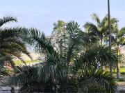 Apartamento para Venda em Santos/SP Gonzaga 1 Quartos