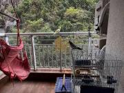 Apartamento para Venda em Santos/SP Marapé 2 Quartos