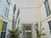 Apartamento para Venda em Sorocaba/SP Caguassu 2 Quartos