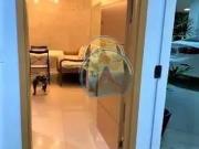 Apartamento para Venda em Ubatuba/SP Centro 2 Quartos